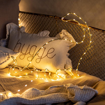 Guirlande lumineuse LED - Dinosaure
