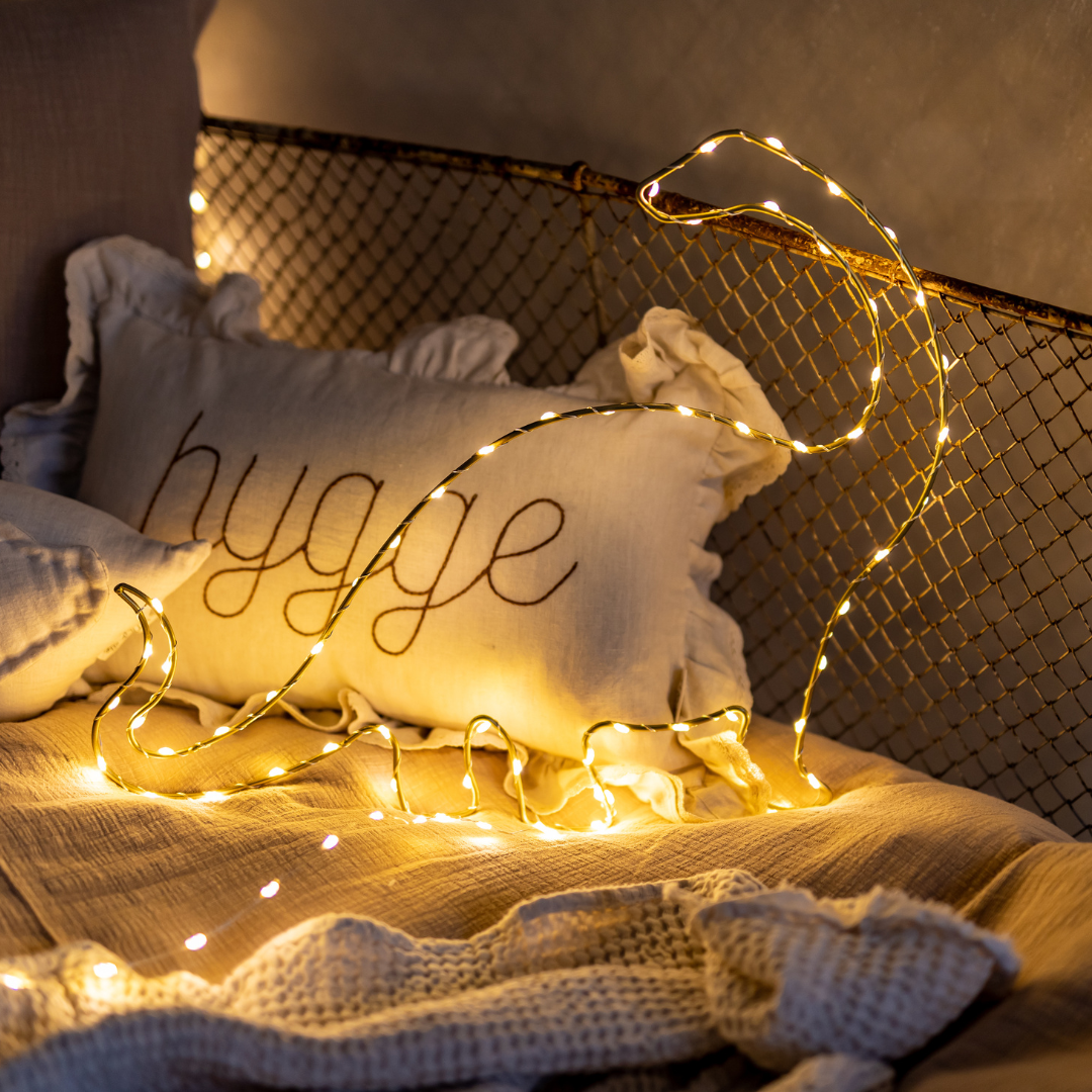Guirlande lumineuse LED - Dinosaure