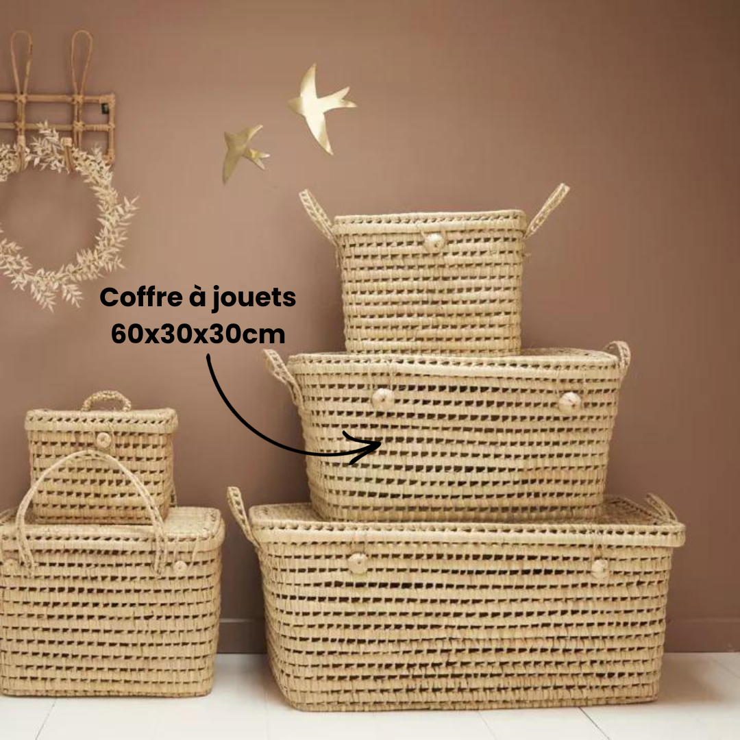 Coffre de rangement pour jouets